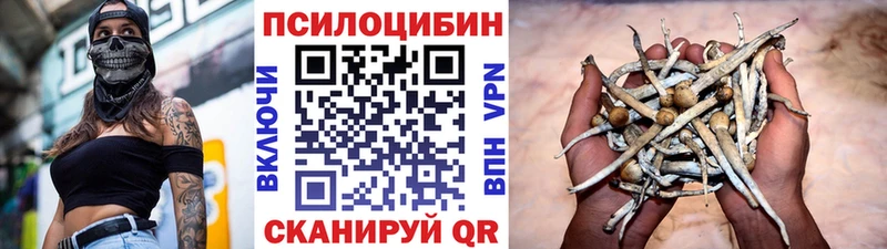 ссылка на мегу зеркало  Новое Девяткино  Галлюциногенные грибы MAGIC MUSHROOMS  цена наркотик 